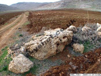 Wadi en Neirab